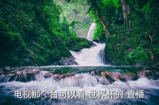 電視那個(gè)臺(tái)可以看 世界杯的 直播
