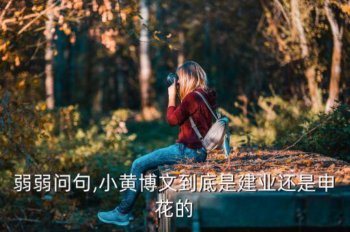 武漢卓爾對上海申花哪個臺,武漢卓爾2-1戰(zhàn)勝上海沈心隊