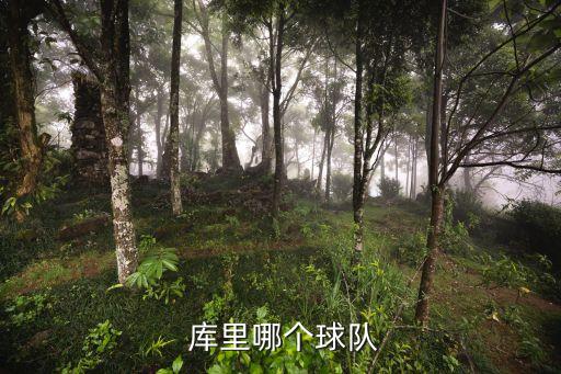  庫里哪個(gè)球隊(duì)