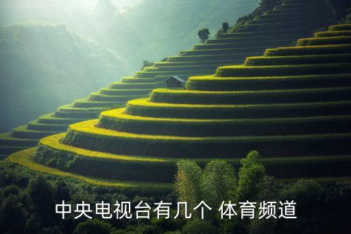 哪個衛(wèi)星有體育臺,中國新增12起確診病例全為境外輸入