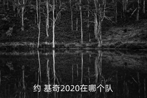 約基奇是哪個(gè)國家的,馬德里競技俱樂部前主席約基奇轉(zhuǎn)會切沃