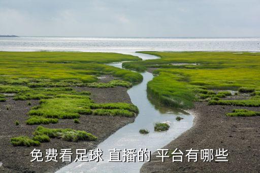 比賽直播哪個平臺好,足球魔方應用介紹什么是魔鬼足球?
