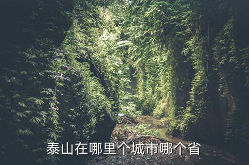 幸運(yùn)11選5是哪個(gè)省的,登泰山最佳觀賞時(shí)間9月到11月