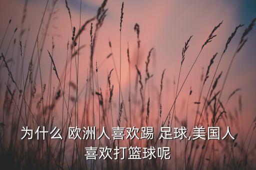 歐洲哪個(gè)國(guó)家喜歡足球,美國(guó)橄欖球發(fā)展不能只看國(guó)家聯(lián)賽和成績(jī)