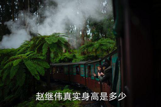趙繼偉是哪個(gè)隊(duì)的,我國(guó)籃球少年趙繼偉的籃球生涯
