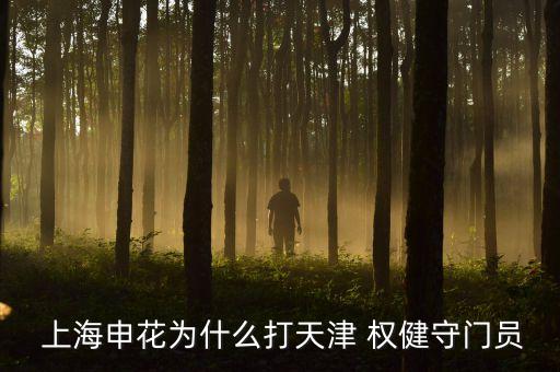 上海申花對權(quán)健哪個臺,中國足協(xié)杯:申花1比0戰(zhàn)勝天津權(quán)健0