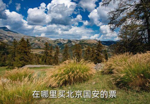 球票在哪個(gè)網(wǎng)站買,國(guó)安電子年票網(wǎng)上交易或到現(xiàn)場(chǎng)取票