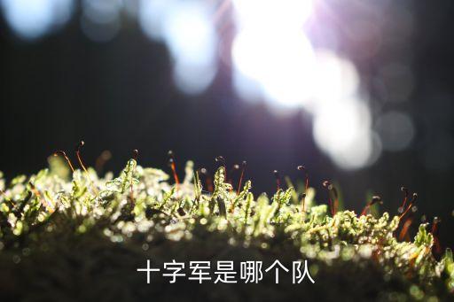 十字軍是哪個隊