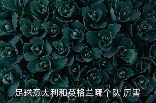 足球意大利和英格蘭哪個隊(duì) 厲害