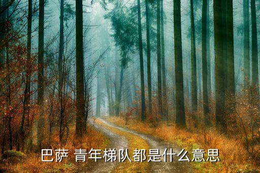 烏青年是哪個球隊,巴西青訓(xùn)體系塔尖代表著巴薩球員最高水平