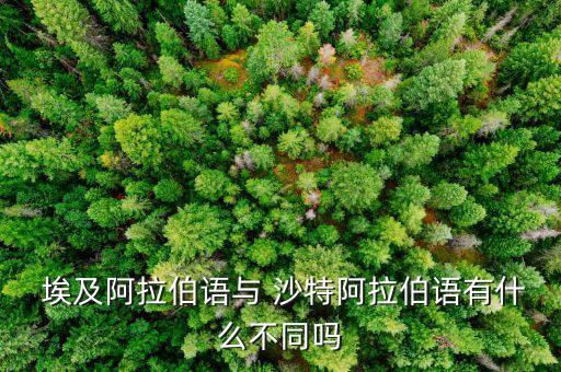 沙特阿拉伯和埃及哪個臺轉(zhuǎn)播,阿拉伯和埃及并稱中東三國