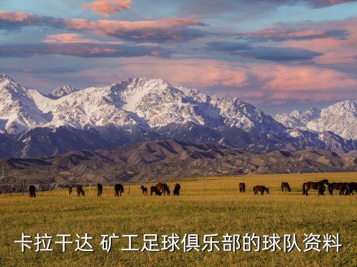 卡拉干達(dá) 礦工足球俱樂部的球隊(duì)資料