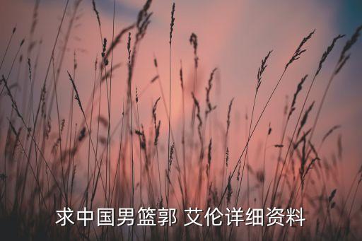 郭艾倫和哪個(gè)國(guó)家比賽,我國(guó)籃球小將郭艾倫正式出征