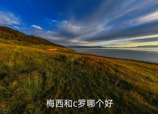  梅西和c羅哪個好