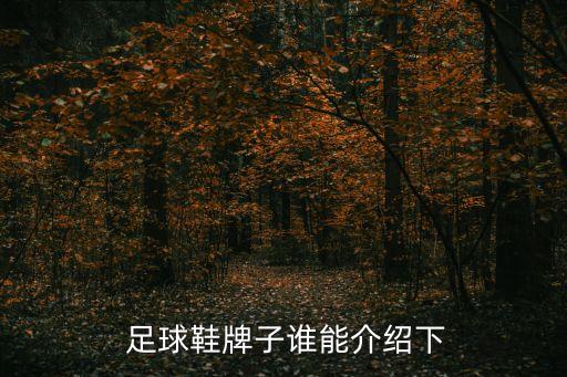 足球裝備牌子哪個(gè)好,耐克球鞋質(zhì)量不如百事耐克粉絲買外國品牌
