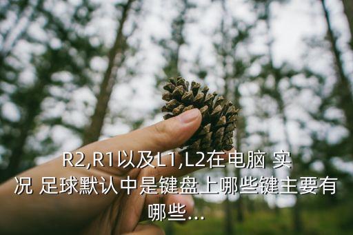 R2,R1以及L1,L2在電腦 實況 足球默認中是鍵盤上哪些鍵主要有哪些...