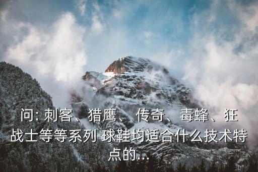問: 刺客、獵鷹、 傳奇、毒蜂、狂戰(zhàn)士等等系列 球鞋均適合什么技術(shù)特點的...