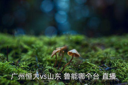 廣州恒大vs山東 魯能哪個臺 直播