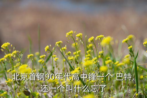 巴特屬于哪個(gè)聯(lián)賽,中國(guó)首對(duì)雙塔!巴特er和單濤上演帽子戲法