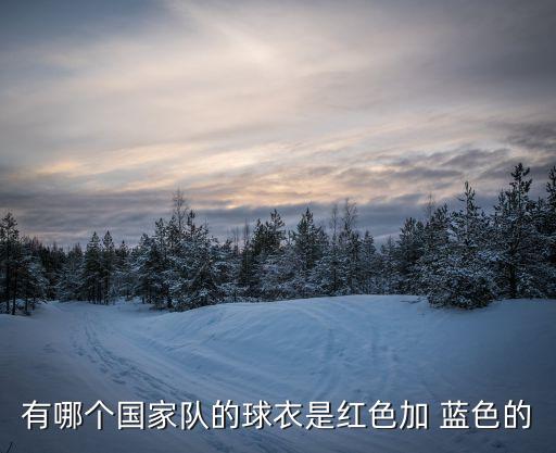 有哪個國家隊的球衣是紅色加 藍(lán)色的