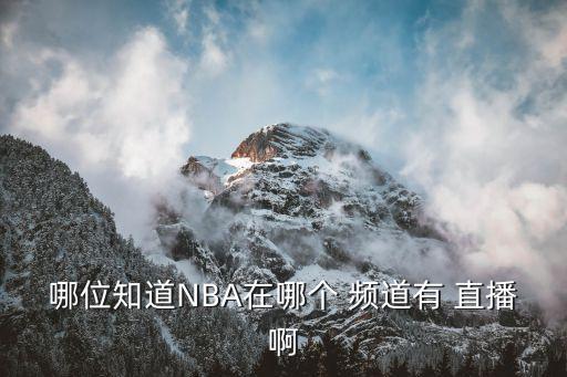 火勇大戰(zhàn)哪個頻道直播,火箭勇士在西部半決賽中激戰(zhàn)4場