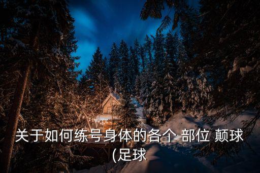 關于如何練號身體的各個 部位 顛球(足球