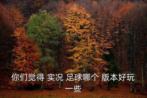 你們覺得 實(shí)況 足球哪個(gè) 版本好玩一些