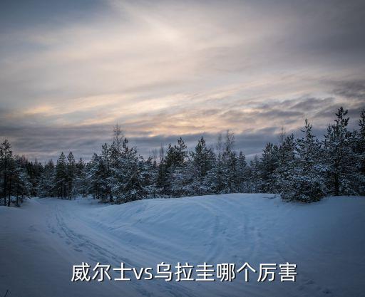 威爾士vs斯洛伐克哪個(gè)強(qiáng),比利時(shí)強(qiáng)勢(shì)崛起讓全球足壇顫抖