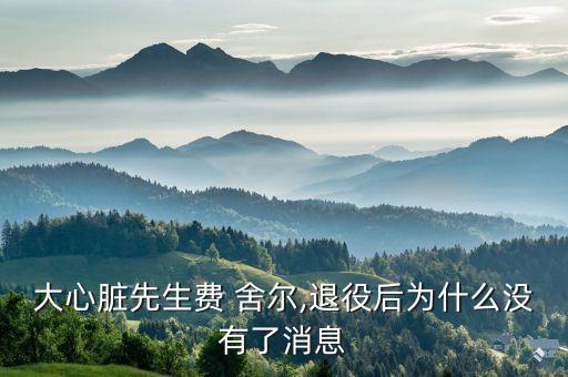大心臟先生費(fèi) 舍爾,退役后為什么沒有了消息