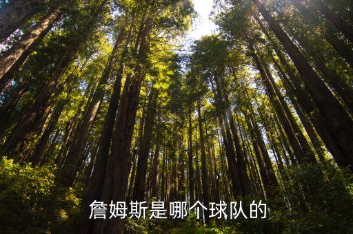 詹姆斯2018在哪個(gè)隊(duì),詹姆斯11年nba選秀首輪被選中