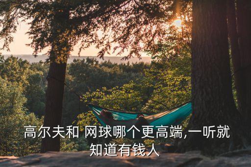 網(wǎng)球和高爾夫哪個(gè)好,打高爾夫!專業(yè)的你還知道這些嗎?