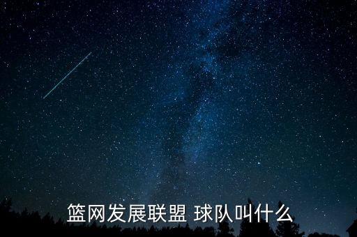  籃網(wǎng)發(fā)展聯(lián)盟 球隊(duì)叫什么