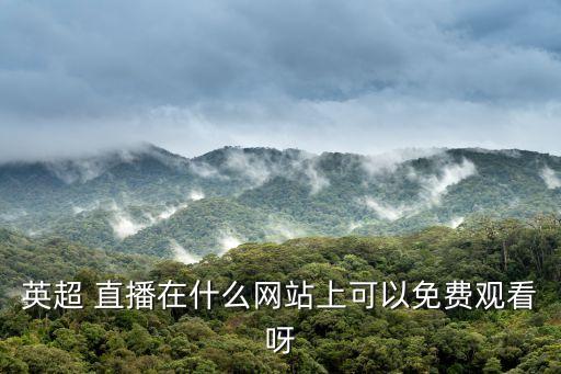 啊英在哪個(gè)直播間直播,電視上沒有電視臺(tái)買版權(quán)只能網(wǎng)上看英超
