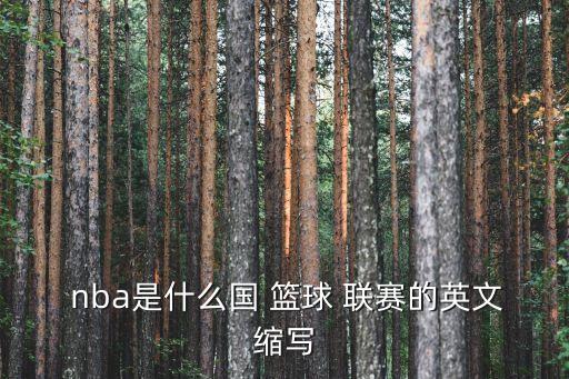 nba是哪個(gè)國家籃球聯(lián)賽,美國男子職業(yè)籃球聯(lián)賽簡稱nba