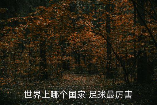 哪個足球好,借鑒德國教學比利時建立足球?qū)W院培養(yǎng)國內(nèi)球員
