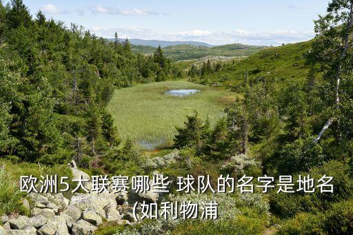 紐倫堡是哪個(gè)球隊(duì),阿迪達(dá)斯總部位于德國(guó)小鎮(zhèn)f1總部有業(yè)余隊(duì)