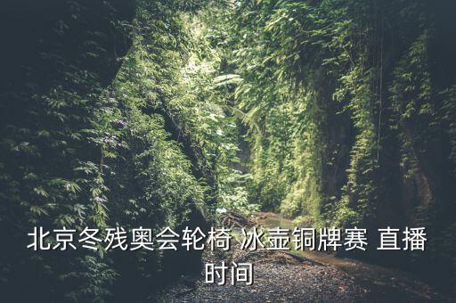 北京冬殘奧會(huì)輪椅 冰壺銅牌賽 直播時(shí)間