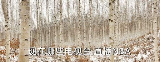 黑龍江哪個(gè)臺(tái)直播nba,電視臺(tái)直播或與其他電臺(tái)不同