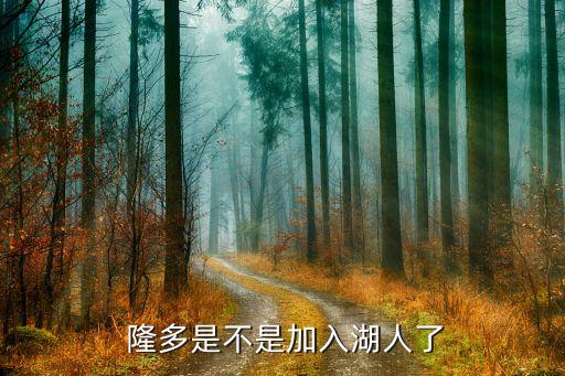 隆多現(xiàn)在在哪個球隊(duì),隆多加盟湖人