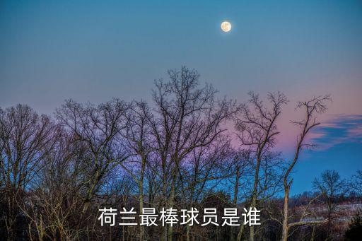 荷蘭最棒球員是誰