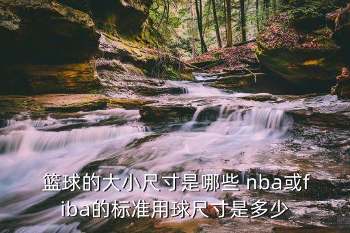  籃球的大小尺寸是哪些 nba或fiba的標(biāo)準(zhǔn)用球尺寸是多少