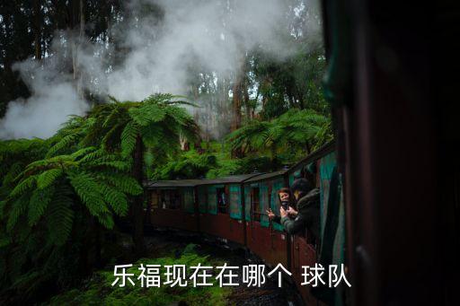  樂?，F(xiàn)在在哪個(gè) 球隊(duì)
