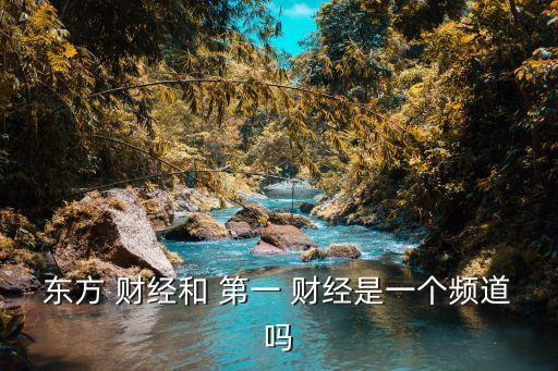 東方 財經(jīng)和 第一 財經(jīng)是一個頻道嗎