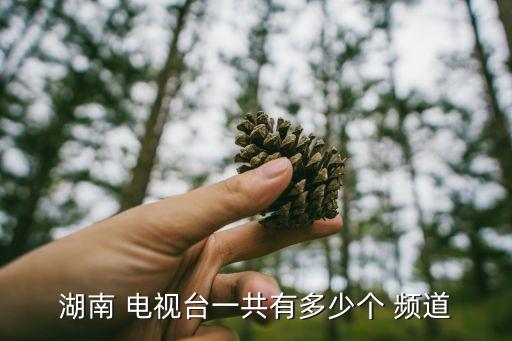 湖南 電視臺一共有多少個 頻道