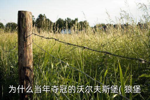為什么當(dāng)年奪冠的沃爾夫斯堡( 狼堡