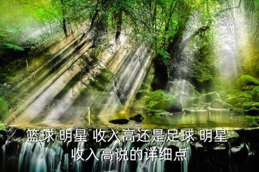 籃球 明星 收入高還是足球 明星 收入高說的詳細(xì)點(diǎn)