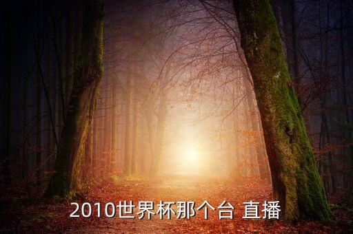 2010世界杯那個臺 直播