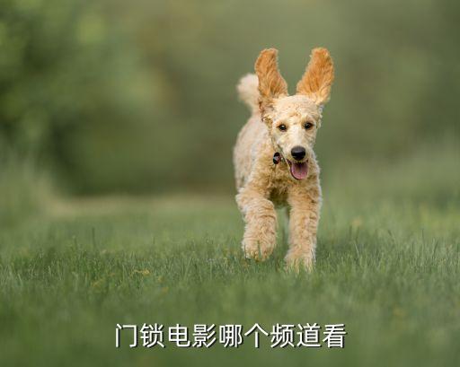門鎖電影哪個(gè)頻道看