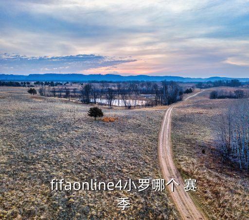 fifaonline4小羅哪個(gè) 賽季