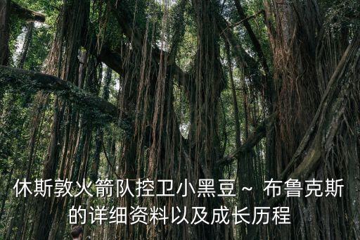 休斯敦火箭隊(duì)控衛(wèi)小黑豆～ 布魯克斯的詳細(xì)資料以及成長歷程